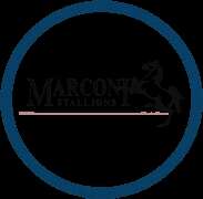 Marconi Stallions