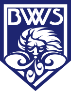 Shinshu Brave Warriors