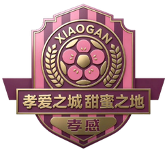 Xiaogan Team