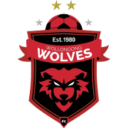 Wollongong Wolves
