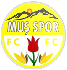 Aliaga Futbol