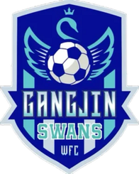 Incheon Hyundai Steel Red Angels Women