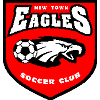 Clarence Zebras Reserves