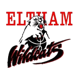 Diamond Valley Eagles